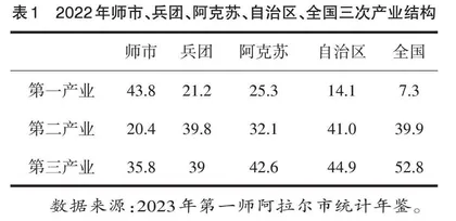 第一师阿拉尔市实现共同富裕问题研究
