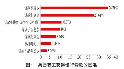 金融赋能兵团乡村振兴的路径研究