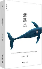 沈大成:我想写的是可移动的故事1