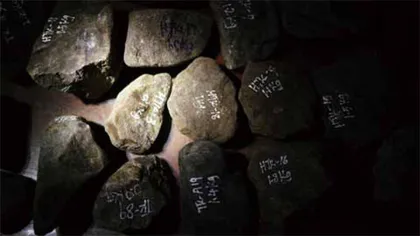 瑞丽 从“疯狂”赌石到“魔幻”直播6