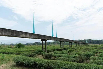 浮梁,茶山里的大地艺术1