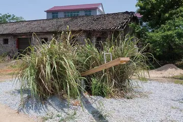 浮梁，茶山里的大地艺术11