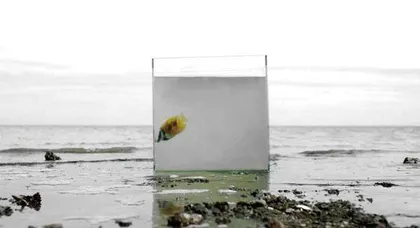 曹雨:艺术的冒犯2