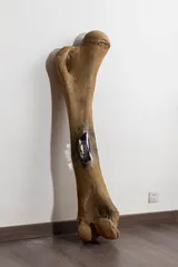 曹雨:艺术的冒犯3