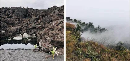 夏威夷的火山往事1
