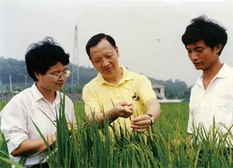 卢永根:把根深深扎在泥土里2