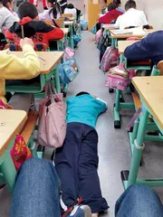孤独孩子和他的袋鼠妈妈