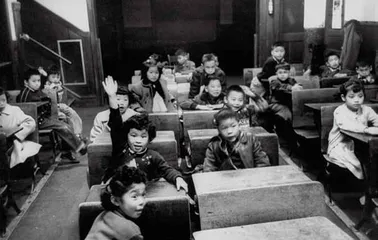华裔美国人的历史与现实3