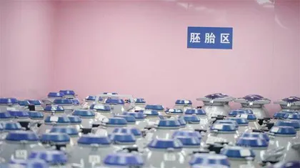 生的祈盼5