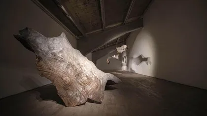梁绍基:蚕丝白光惨淡,但也澎湃1
