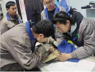 今天我们需要什么样的动物园1