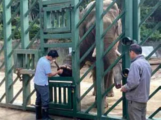 今天我们需要什么样的动物园2