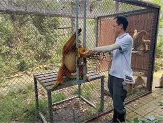 今天我们需要什么样的动物园3
