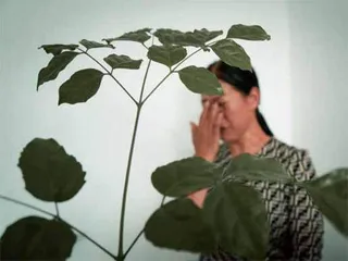 后会有期:寻亲路上希望与失望交织,DNA是最终认亲依据5