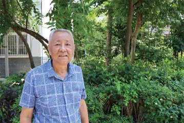 野象出走后,忙着为它们修复雨林的人1