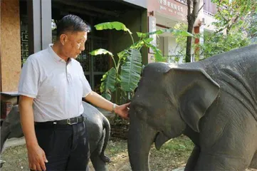 野象出走后,忙着为它们修复雨林的人2