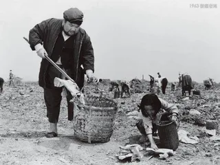 李行:为两岸的电影,为中国的电影1