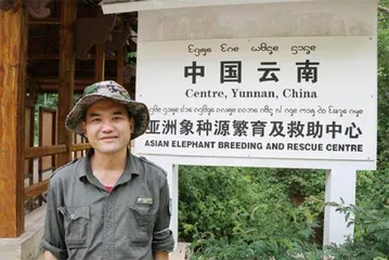 野象出走后,忙着为它们修复雨林的人4