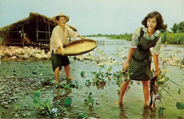 李行:为两岸的电影,为中国的电影3