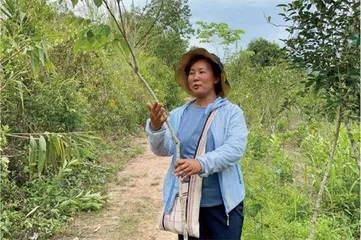 野象出走后,忙着为它们修复雨林的人5