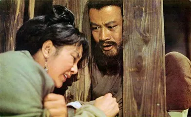 李行:为两岸的电影,为中国的电影5