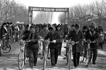 老乡,见老乡12