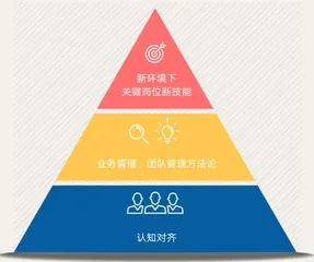 “学习赋能业务”:企业增长新范式5