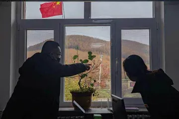 塞罕坝的守护者12