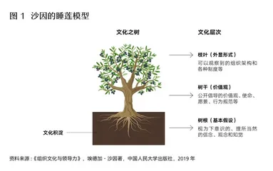 组织的自我进化典范：华为的战略和管理假设变革1