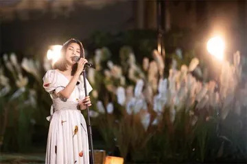许茹芸：不是所有的感情都一定要荡气回肠1