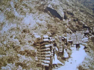 茶马古道上的“背子”