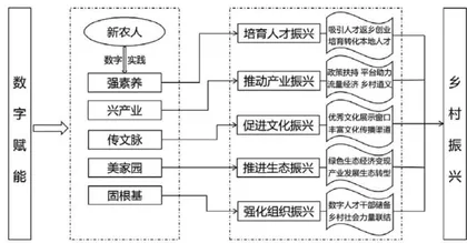 数字赋能视域下“新农人”助力乡村 振兴的多维分析与数字异化风险规避 1