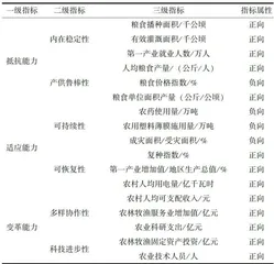 农村人口老龄化背景下提升粮食供应链韧性的双重技术路径：机械化赋能与创新协同机制
