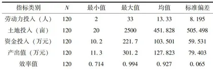 利用擢荒农地发展精品农业的模式及其效率差异3