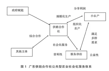 基于广东省供销合作社系统的公共型农业社会化服务体系建设模式分析