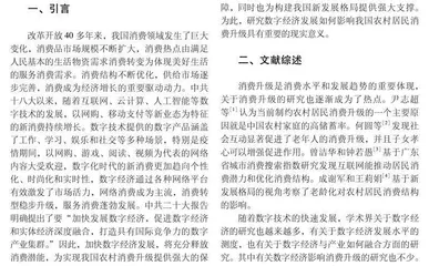 数字经济对农村居民消费升级的空间溢出效应研究