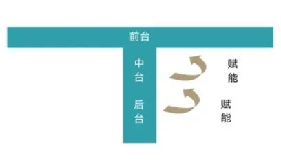 “T形战略”:“专精特新”企业成功的底层逻辑1