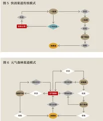 两种力量,三维模式,元气森林为快消注入新元气2