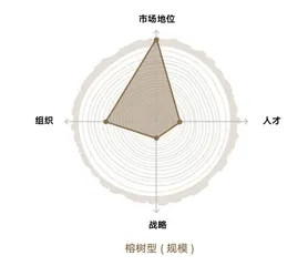 五类企业的生命力特征2