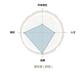 五类企业的生命力特征4