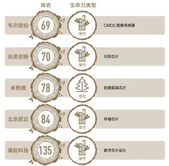 变局之下,企业生命力如何帮助上市公司走出动荡9