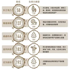 变局之下,企业生命力如何帮助上市公司走出动荡10