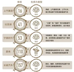 变局之下,企业生命力如何帮助上市公司走出动荡11