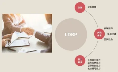 学习三支柱:赋能业务学习的组织模型4