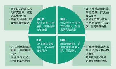 完美日记:新国货之光的上市密码7