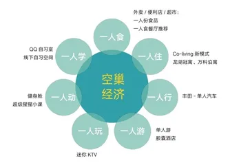 一人经济:空巢青年消费观察3