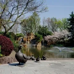 往生何寄?福寿园与它背后的30年变迁3