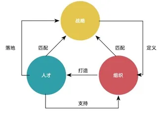 公牛集团:插座变聪明,组织新演进,人才再定义2