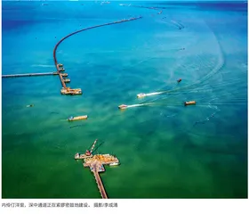 大湾区引领创新力量