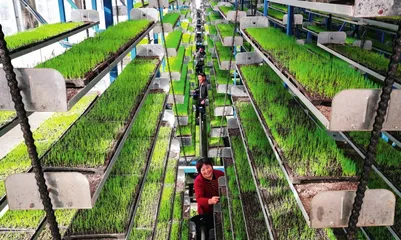 筑牢高质量发展根基 加快培育新质生产力2